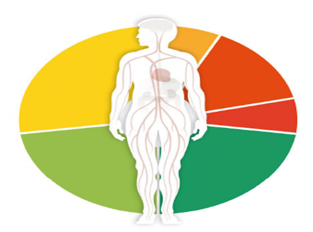 Nutricion online en la complutense